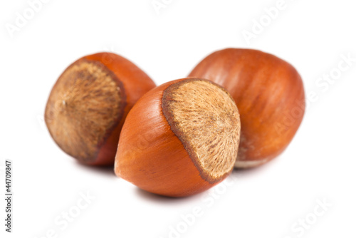 Photo: Three ripe hazelnuts Three ripe hazelnuts