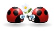 coccinelle fiore