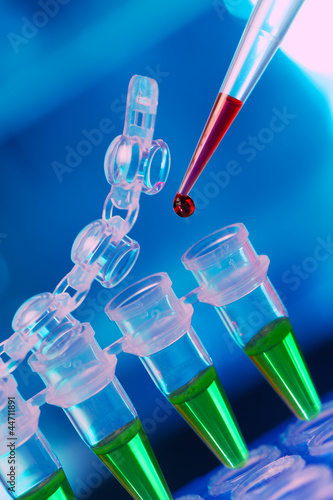 Photo: Loading of PCR samples in numbered plastic tubes Loading of PCR samples in numbered plastic tubes