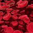 Rote Blutzellen fließen durch eine Arterie