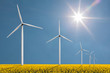 Wind turbines on a bright sunny day in a field with cole seed