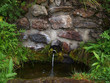Quellwasser