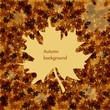 autumn background