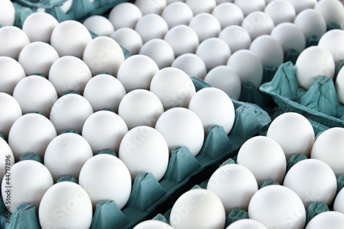 Illustration: White eggs White eggs