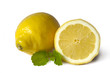 Foto: Zitronen Zitronen