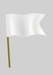 White small flag