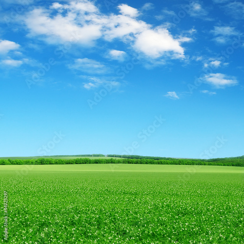 Photo: green field and blue sky green field and blue sky