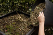 Bac à compost