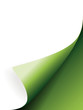 Grüne Ecke Papier