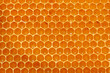honeycomb background