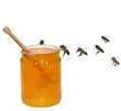 bees