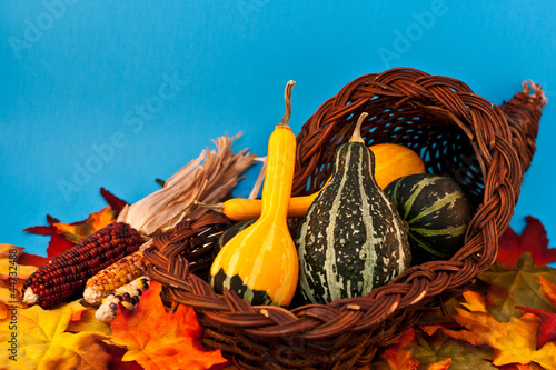 Photo: Cornucopia Cornucopia