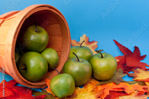 Photo: Apples Spilling Out of Basket Apples Spilling Out of Basket