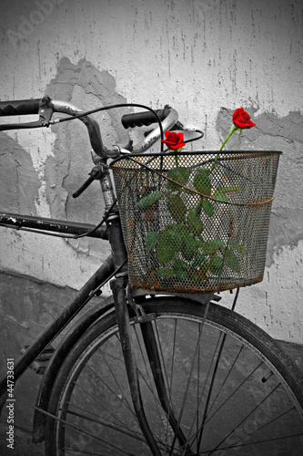 Photo: Red roses in basket of old rusty bicycle Red roses in basket of old rusty bicycle