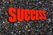 Success