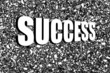 Success
