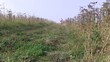 Video: promenade en vtt de dos en automne promenade en vtt de dos en automne