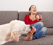 Photo: Dog licking the toes Dog licking the toes