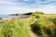 Path to Dunstanburgh Castle Path to Dunstanburgh Castle