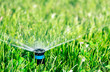 Sprinkler head
