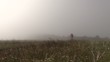 Video: sortir de la brume en vtt sortir de la brume en vtt
