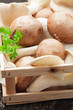 Champignons und Austernpilze in Holzkiste