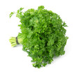 Fresh parsley herb