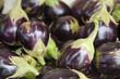 Foto: AUBERGINE Calabria Photo © Herby Meseritsch AUBERGINE Calabria Photo © Herby Meseritsch