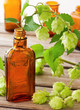 Hopfen - Medizin