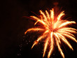 Lichterpalme