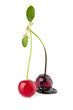 Foto: chocolate cherry chocolate cherry