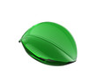 clear green leaf on white