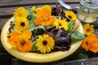Pflücksalat mit Blüten von der Ringelblume und Kapuzinerkresse
