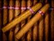 background cigars in humidor