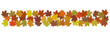 Bande de feuilles aux couleurs de l’automne