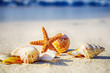Photo: Starfish on the Beach Starfish on the Beach