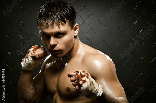 Photo: street fighter street fighter