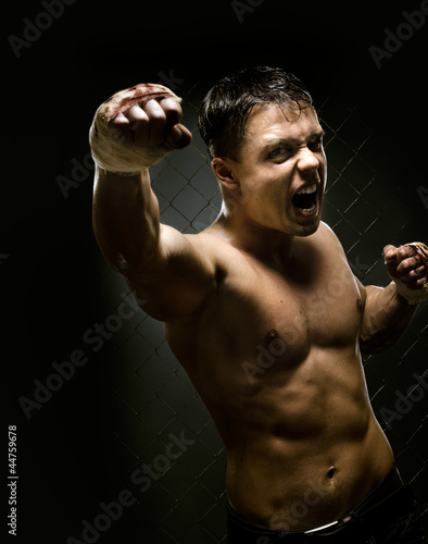 Photo: street fighter street fighter