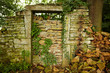 Stone wall and green plants