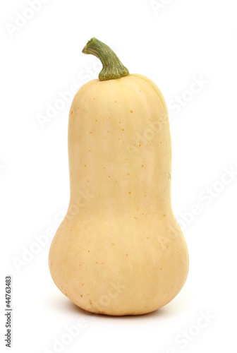 Photo: Butternut Kürbis freigestellt Butternut Kürbis freigestellt