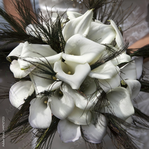 Photo: Wedding bouquet from white callas Wedding bouquet from white callas