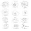 Set of flowers