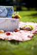 Picnic Time!