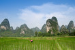 Pastoral Scenery In Guilin