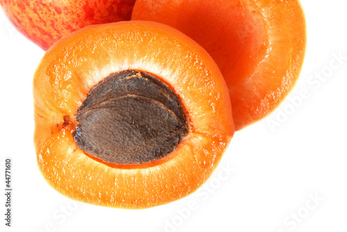 Photo: Apricot Apricot