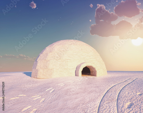 Illustration: Igloo Igloo