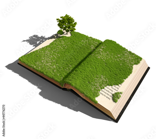 Illustration: open book open book