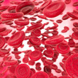 Rote Blutzellen fließen durch eine Arterie