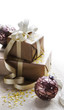 chrismas gifts on white background