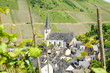 Briedel an der Mosel